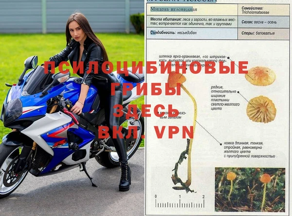 стафф Алексеевка