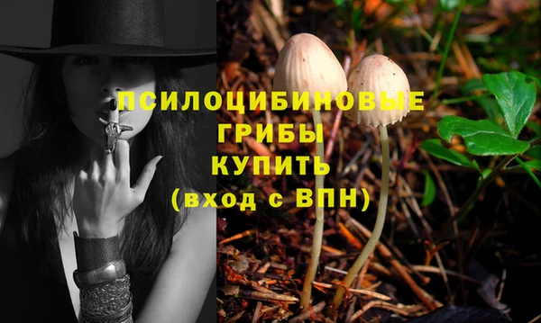 винт Алзамай