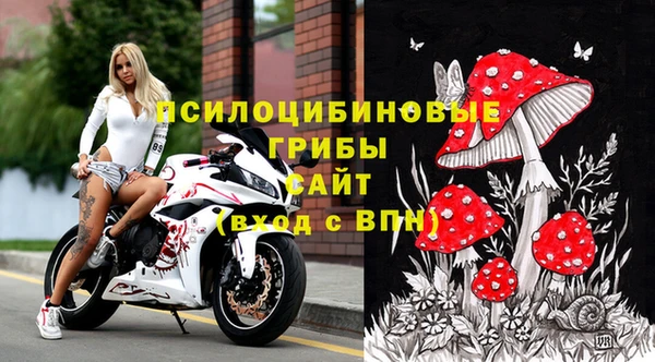 стафф Алексеевка