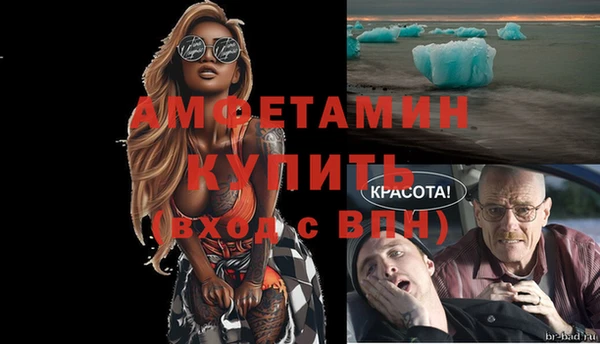 винт Алзамай